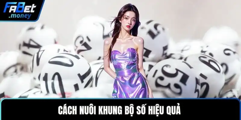 Cách nuôi khung bộ số hiệu quả