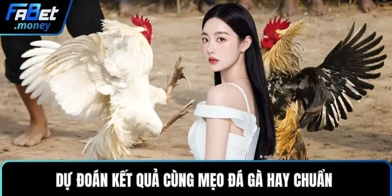 Dự đoán kết quả cùng mẹo đá gà hay chuẩn