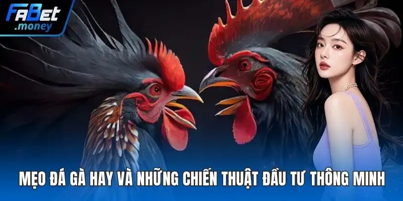 Mẹo đá gà hay